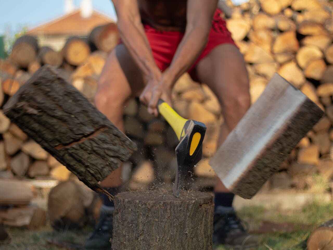 The Steps Involved in Our Tree Care Process in Longboat Key, FL